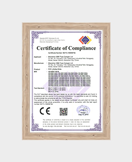 Xingse EN71 Certificate