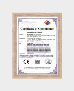 Xingse ROHS Certificate
